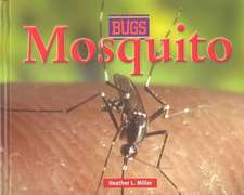 Mosquito