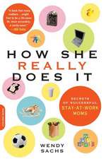 How She Really Does It: Secrets of Successful Stay-at-Work Moms