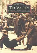 Tri Valley, Cobleskill to Colliersville