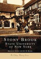 Stony Brook: State University of New York