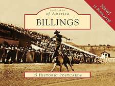 Billings: 15 Historic Postcards