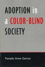 Adoption in a Color-Blind Society