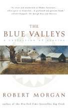 The Blue Valley