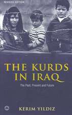 The Kurds in Iraq - Second Edition: The Past, Present and Future