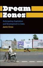 Dream Zones: Anticipating Capitalism and Development in India