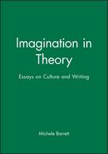 Imagination in Theory – Essays on Writing and Culture