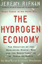 Hydrogen Economy – The Creation of the Worldwide Energy Web and the Redistribution of Power on Earth