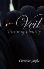 Veil – Mirror of Identity