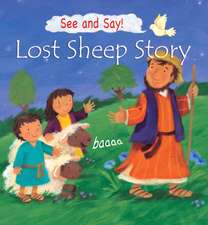 Lost Sheep Story