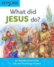 What Did Jesus Do? – An Introduction to the Life and Teachings of Jesus