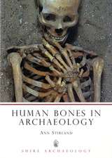 Human Bones in Archaeology