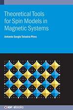 Theoretical Tools for Spin Models in Magnetic Systems