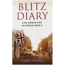 BLITZ DIARY LIFE UNDER FIRE WORLD