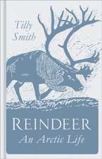 Reindeer: An Arctic Life