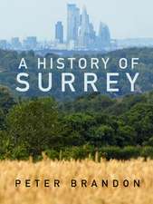 A History of Surrey