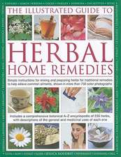 The Illustrated Guide to Herbal Home Remedies