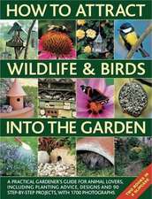 How to Attract Wildlife & Birds Into the Garden