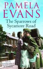 Evans, P: Sparrows of Sycamore Road