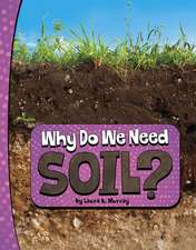 Why Do We Need Soil?