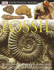 Fossil