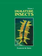 Immature Insects