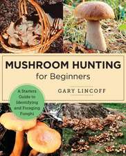 Mushroom Hunting for Beginners