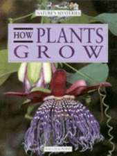 How Plants Grow