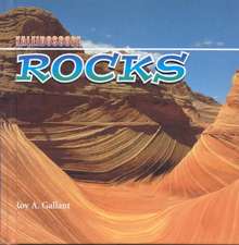 Rocks