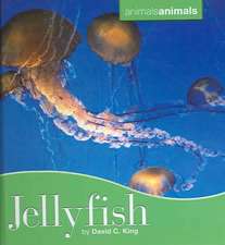 Jellyfish