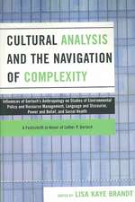 Cultural Analysis and the Navigation of Complexity