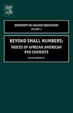 Beyond Small Numbers – Voices of African American PhD Chemists