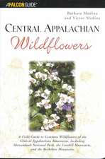 Central Appalachian Wildflowers