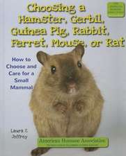 Choosing a Hamster, Gerbil, Guinea Pig, Rabbit, Ferret, Mouse, or Rat: How to Choose and Care for a Small Mammal