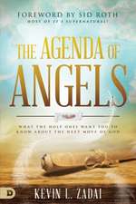 The Agenda of Angels