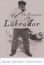 The Forgotten Labrador