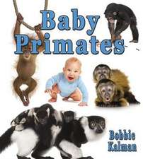 Baby Primates