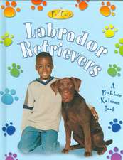 Labrador Retrievers