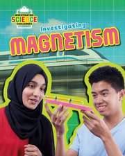 Investigating Magnetism