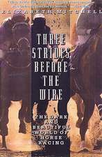 Three Strides Before The Wire: The Dark and Beautiful World of Horse Racing