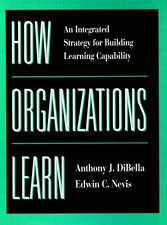 How Organizations Learn – An Integrated Strategy for Building Learning Capability