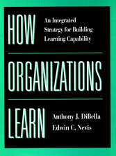 How Organizations Learn