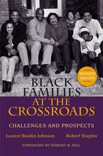 Black Families at the Crossroads – Challenges and Prospects Revised Edition