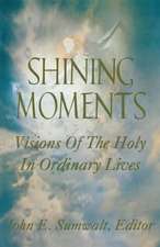 Shining Moments: Visions of the Holy in Ordinary Lives