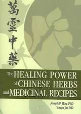 The Healing Power of Chinese Herbs and Medicinal Recipes