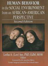 Human Behavior in the Social Environment from an African-American Perspective: Second Edition