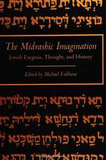 Midrashic Imagination: Jewish Exegesis, Thought, and History