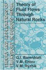 Theory of Fluid Flows Through Natural Rocks