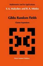 Gibbs Random Fields