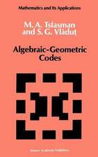 Algebraic-Geometric Codes