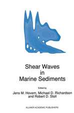 Shear Waves in Marine Sediments